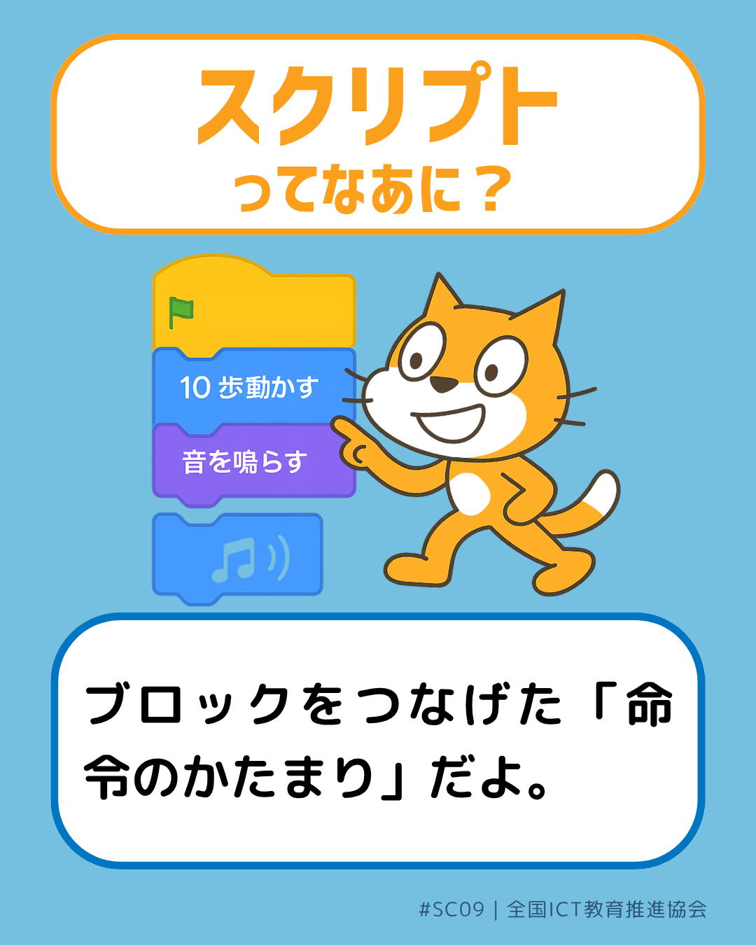 表面画像