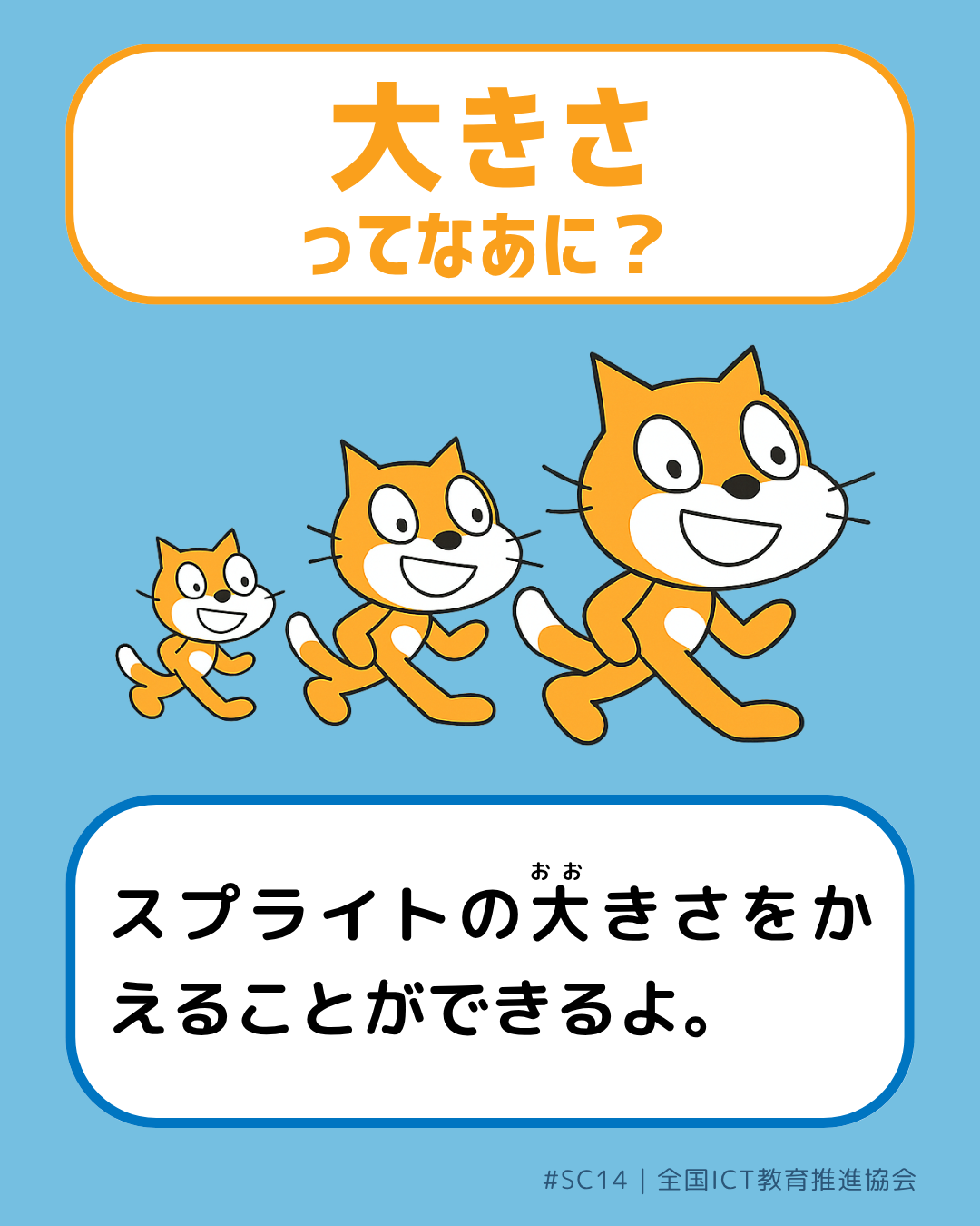 表面画像