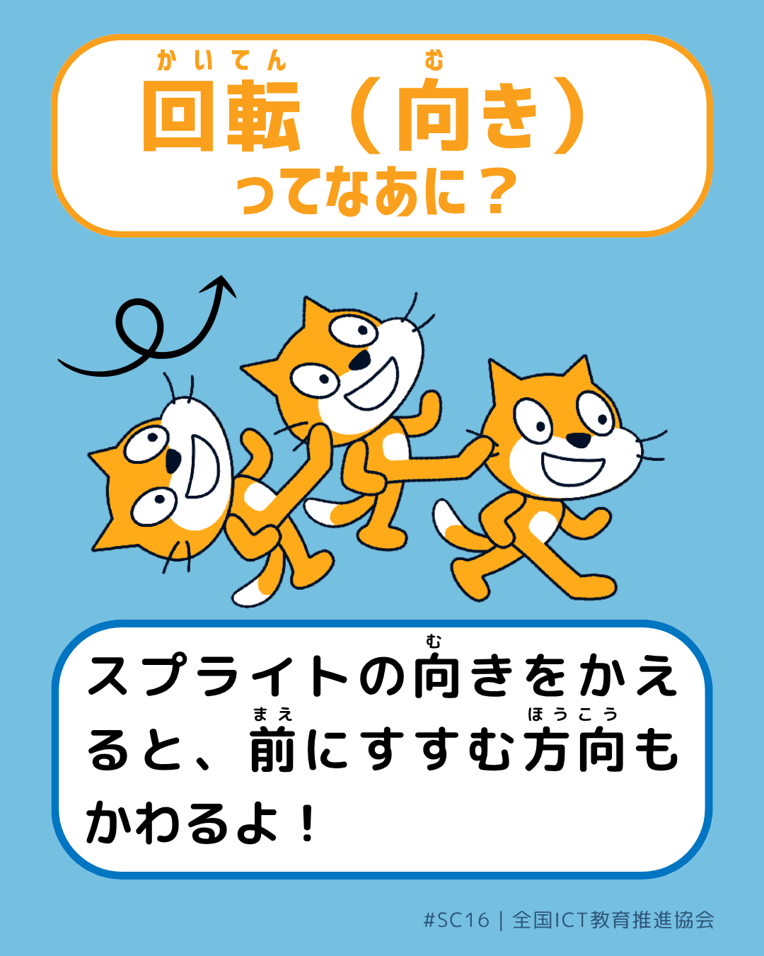 表面画像