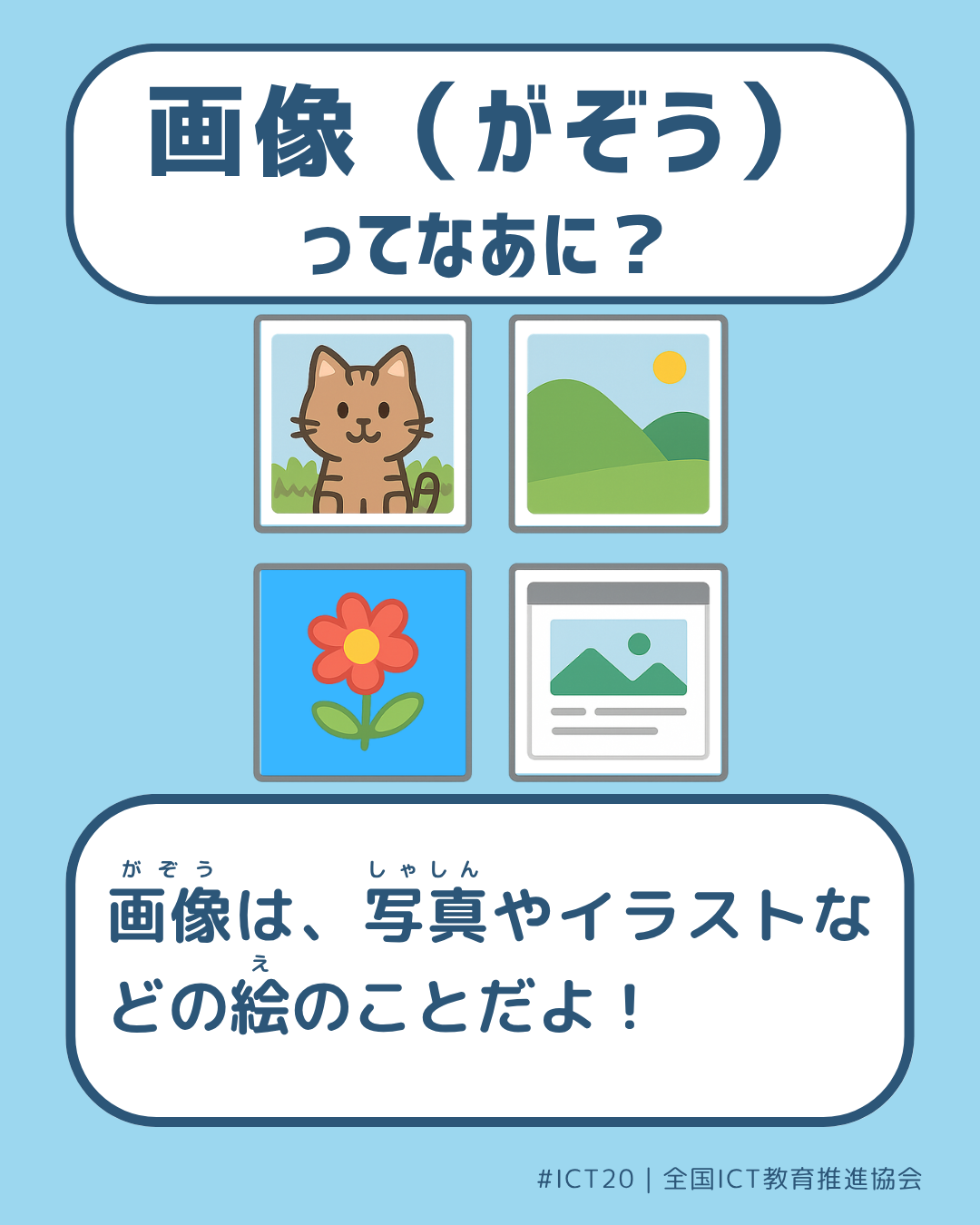 表面画像