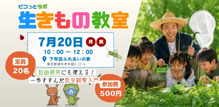 「昆虫観察入門」お申込みページへ